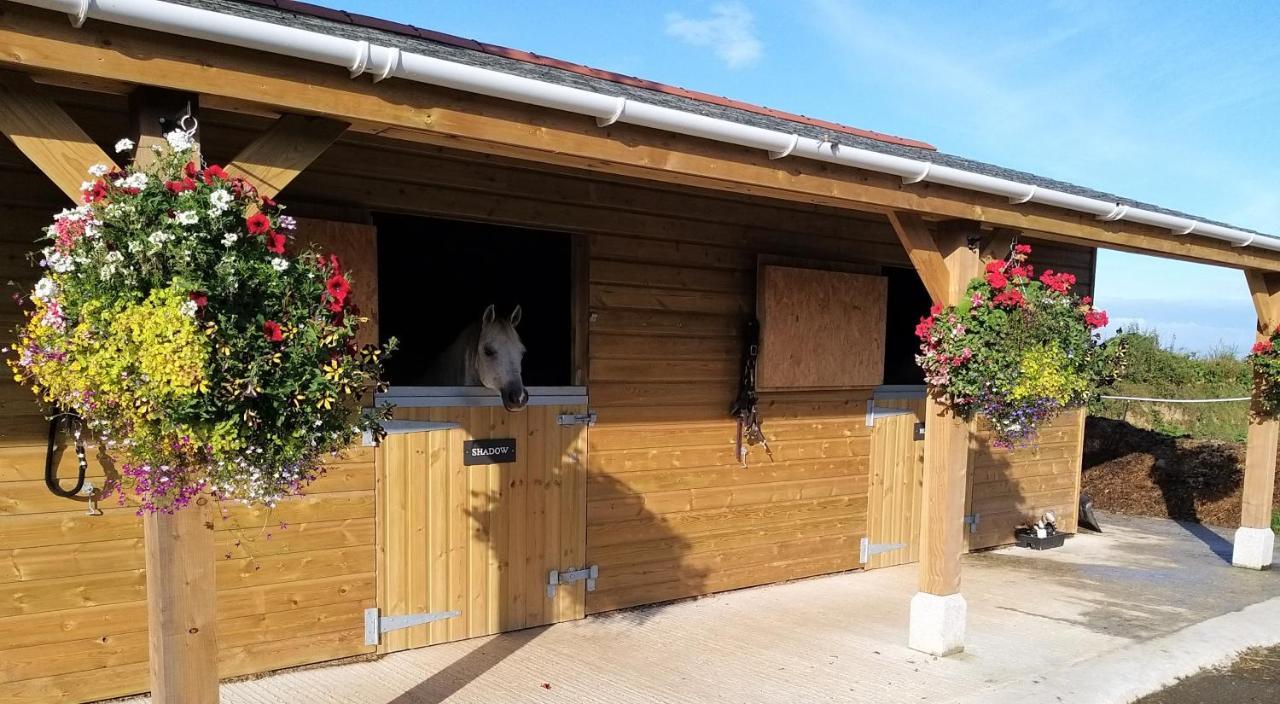 Rosebank Barn Villa Brentor Bagian luar foto
