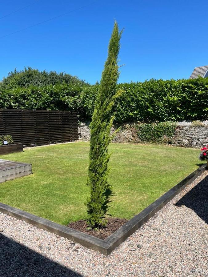 Rosebank Barn Villa Brentor Bagian luar foto
